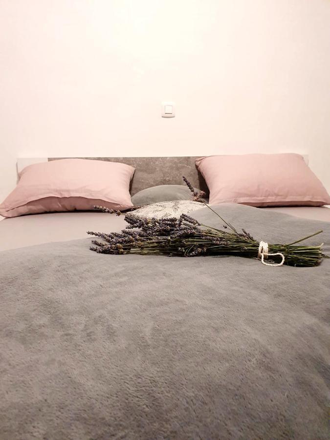 Apartman Skolj Jovici  외부 사진